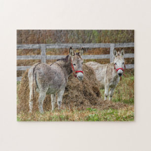 Niedliche Donkeys Puzzle