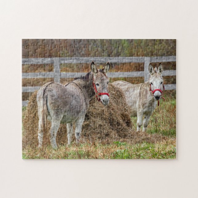 Niedliche Donkeys Puzzle (Horizontal)