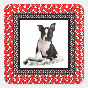 Niedliche Doppy Foto Paw and Bone Template Quadratischer Aufkleber