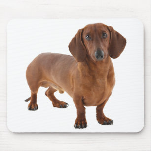 Niedliche Doxin Dackel Welpe Dog Lover Gift Dackel Mousepad