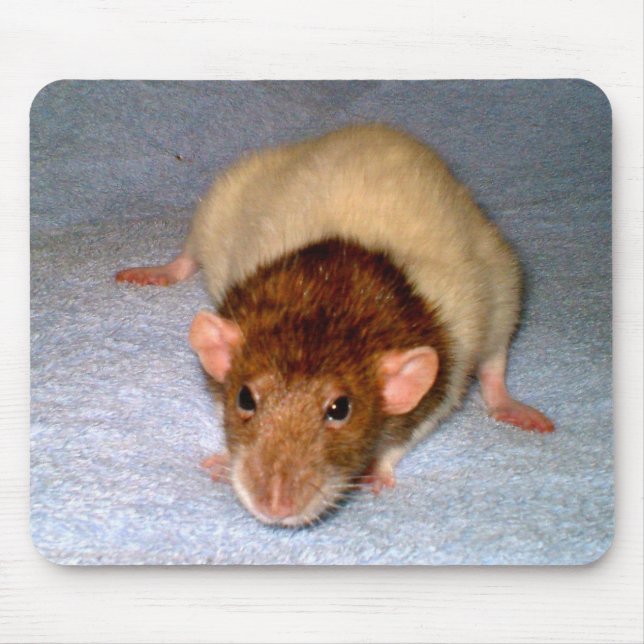 Niedliche Dumbo Ratte Mousepad (Vorne)