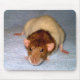 Niedliche Dumbo Ratte Mousepad (Vorne)