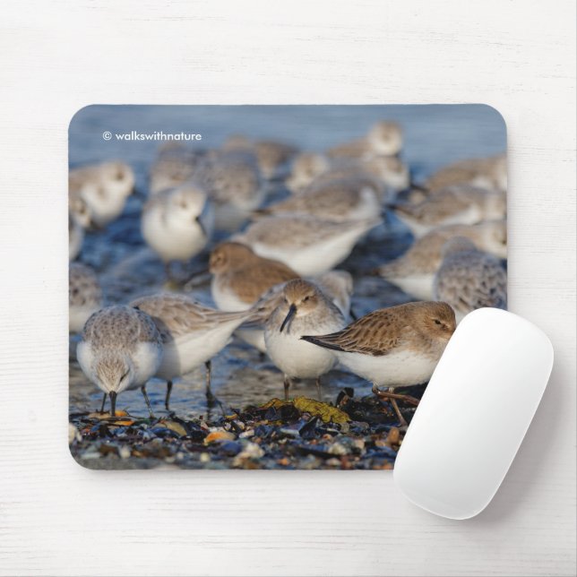 Niedliche Dunlins Sanderlings Sandpipers am Strand Mousepad (Mit Mouse)