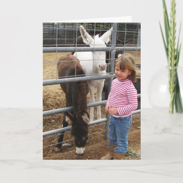 Niedliche DVM-Absolventin Western Glückwunsch Karte (Vorderseite)