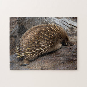 Niedliche Echidna Australien, Kinder 252 Stück Puzzle