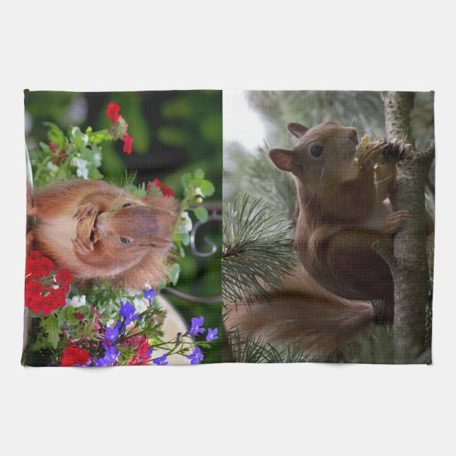 Niedliche Eichhörnchen Geschirrtuch (Horizontal)
