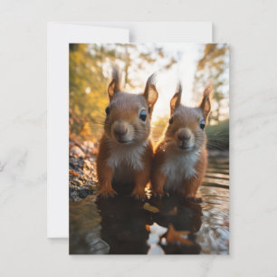 Niedliche Eichhörnchen Postkarte