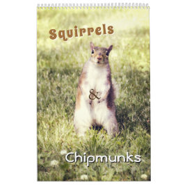 Niedliche Eichhörnchen und Chipmunks Funny Animal  Kalender