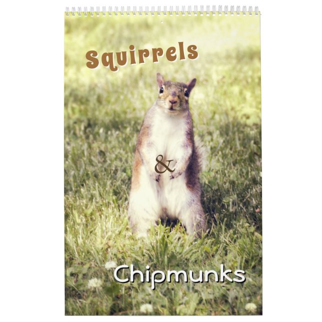 Niedliche Eichhörnchen und Chipmunks Funny Animal  Kalender (Titelbild)