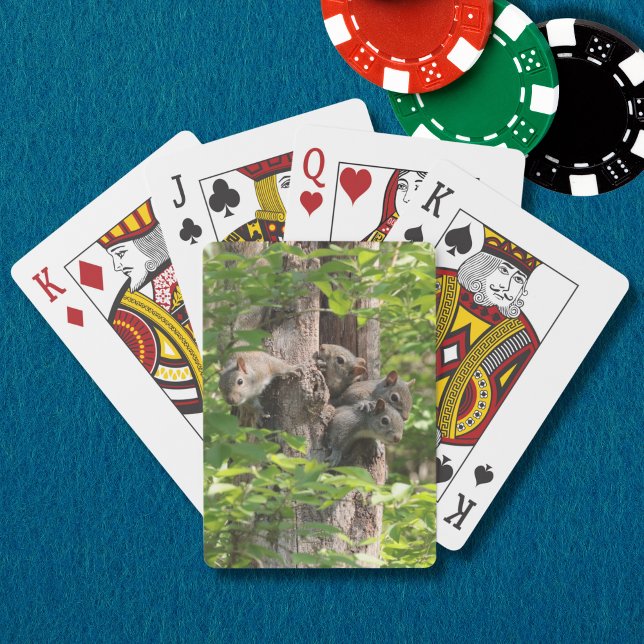 Niedliche Eichhörnchenfamilie in Frühlingsfotograf Spielkarten (A funny squirrel family peeks out of a leafy tree on these playing cards. A great stocking stuffer!)
