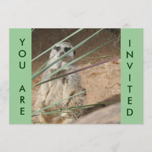 Niedliche Einladung von Meerkat