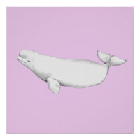 Niedliche Elegant Beluga Whale Buchführung