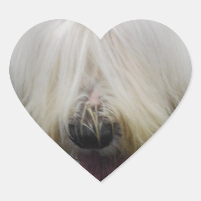 Niedliche englische Sheepdog Stickers (Vorderseite)