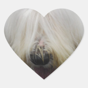 Niedliche englische Sheepdog Stickers