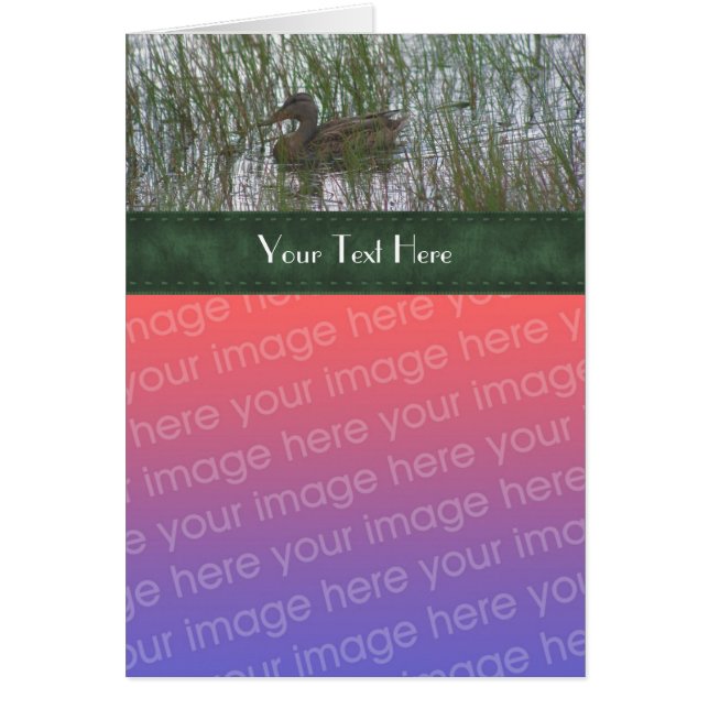 Niedliche Ente im Teich Natur Ihre Fotokarte (Vorne)