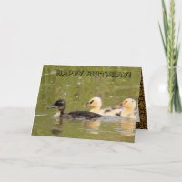 Niedliche Enten - Geburtstagskarte