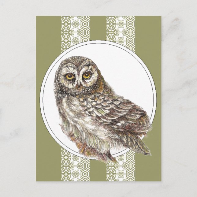 Niedliche Eule - Wasserfarbengel, Wildtiere, Natur Postkarte (Vorderseite)