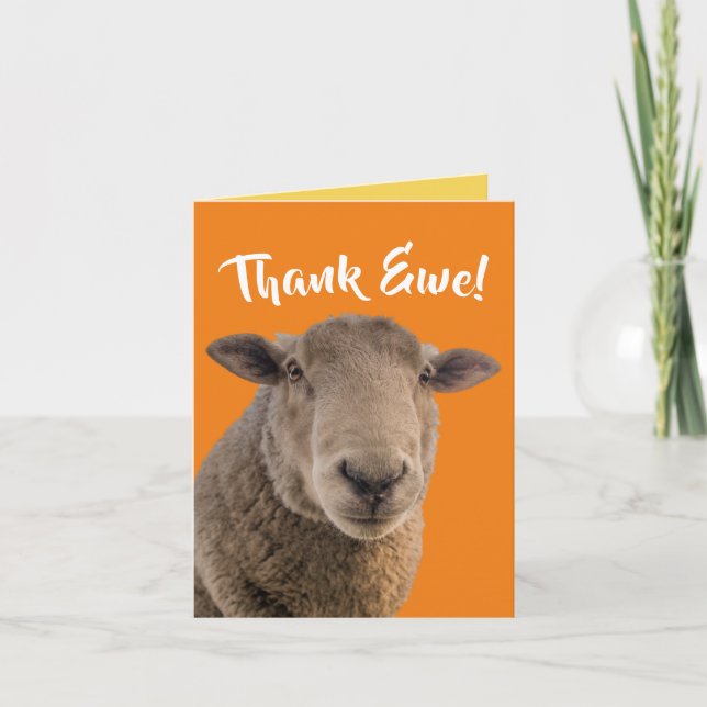 Niedliche "Ewe"-Karte mit einer Ewe Karte (Vorderseite)