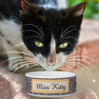 Niedliche Farbige Tiny Cat Paw Prints auf Grau Napf
