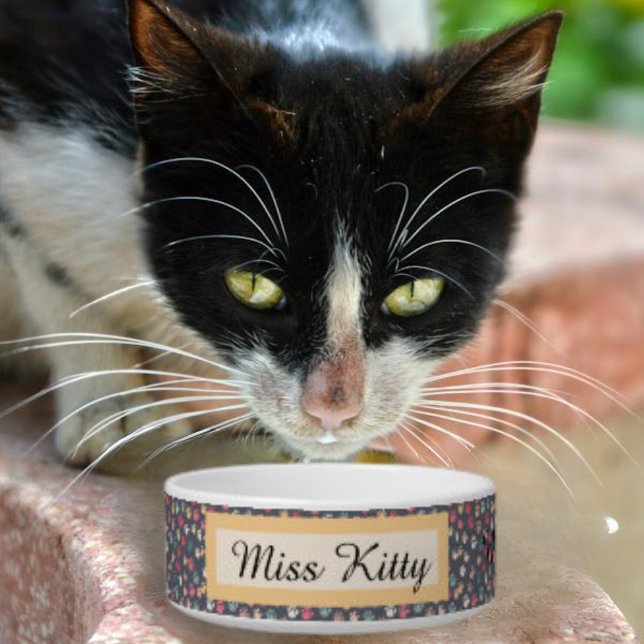 Niedliche Farbige Tiny Cat Paw Prints auf Grau Napf (Cute Cat small cat paw prints. Personalized with Cat's name. )