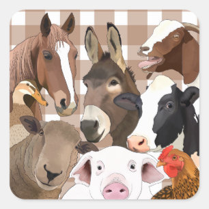 Niedliche Farm Animal Portrait Gingham Karo - Brow Quadratischer Aufkleber