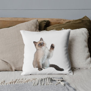 Niedliche, fett siamesische Katzenmassage Dekorati Kissen
