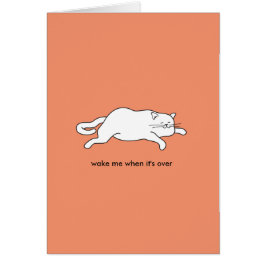 niedliche fette Katze auf einer Karte