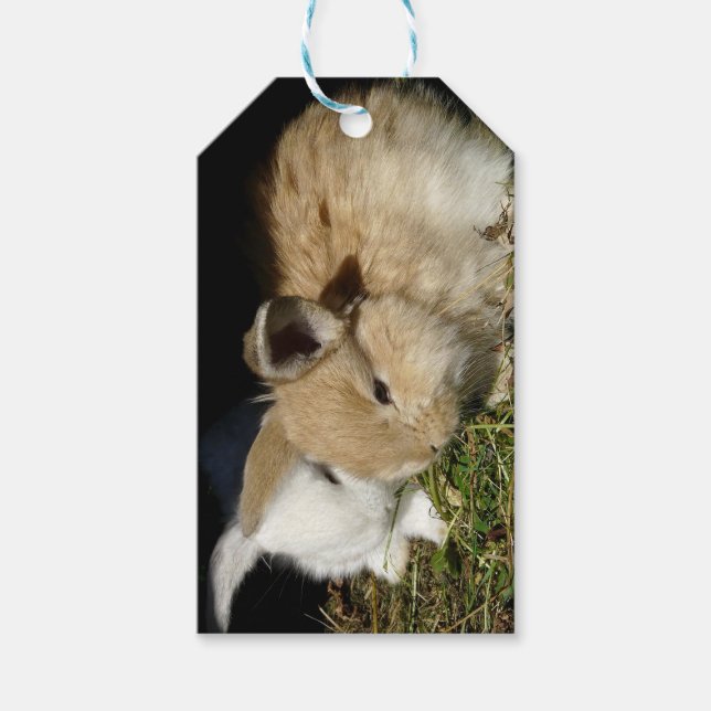 Niedliche, flauschige Bundsen Geschenkanhänger (Vorderseite)