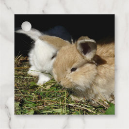 Niedliche, flauschige Bundsen Geschenkanhänger