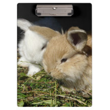 Niedliche, flauschige Bundsen