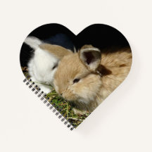 Niedliche, flauschige Bundsen