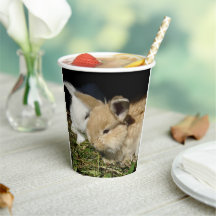 Niedliche, flauschige Bundsen