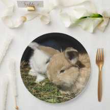 Niedliche, flauschige Bundsen