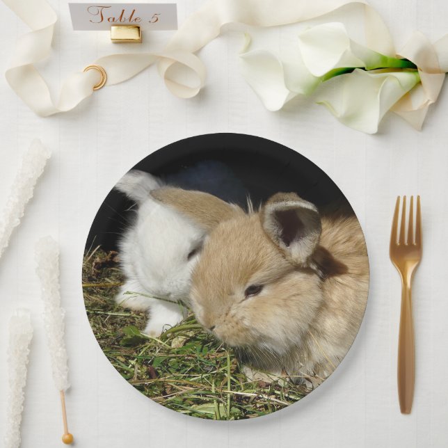 Niedliche, flauschige Bundsen Pappteller (Hochzeit)