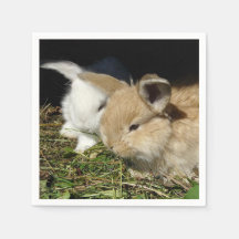 Niedliche, flauschige Bundsen