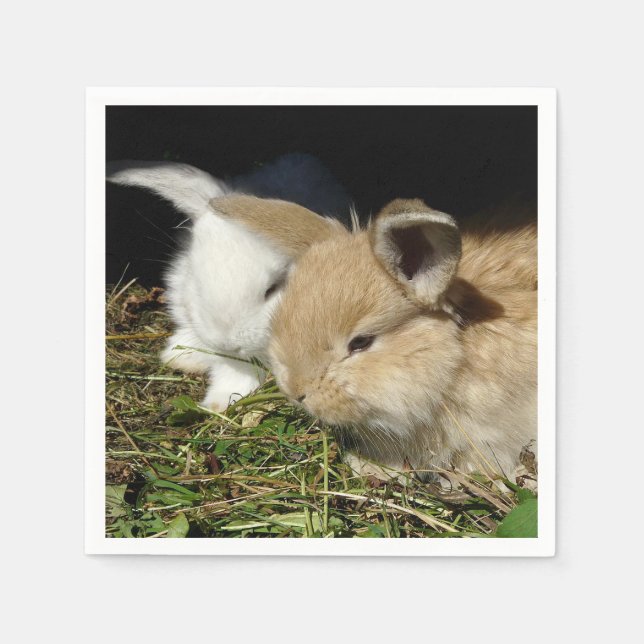 Niedliche, flauschige Bundsen Serviette (Vorderseite)