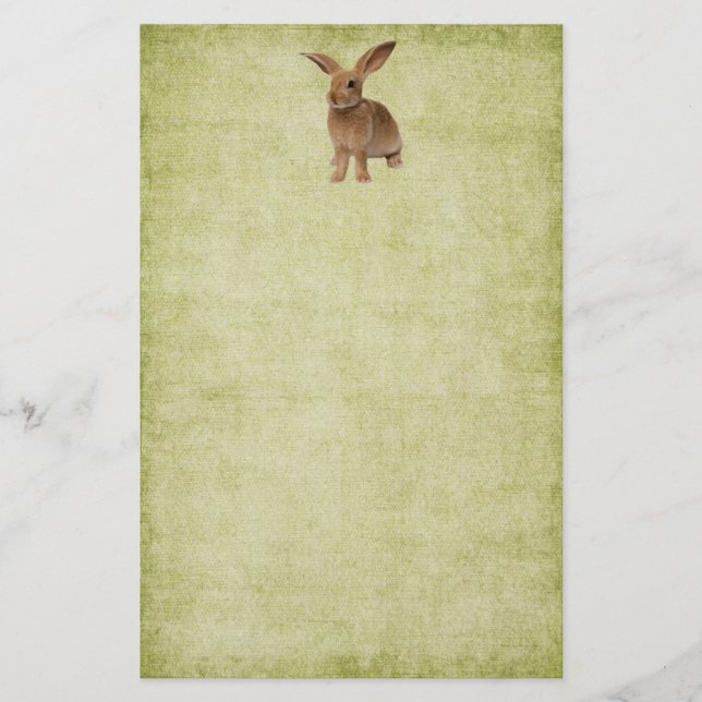 Niedliche Floppy Bunny - Stationery No Lines Briefpapier (Vorderseite)