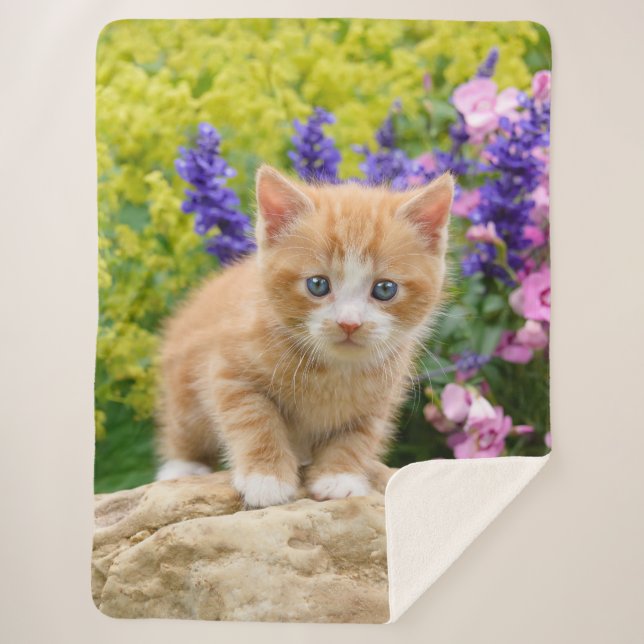 Niedliche Fluffy Ginger Baby Cat Kitten in Blume H Sherpadecke (Vorderseite)