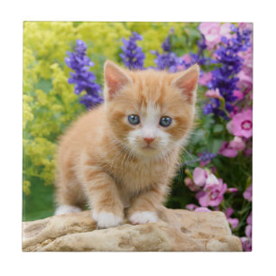 Niedliche Fluffy Ginger Cat Kitten in Blume Foto Fliese