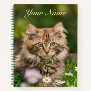Niedliche Fluffy Maine Coon Kitten Cat in Blume Na Notizbuch