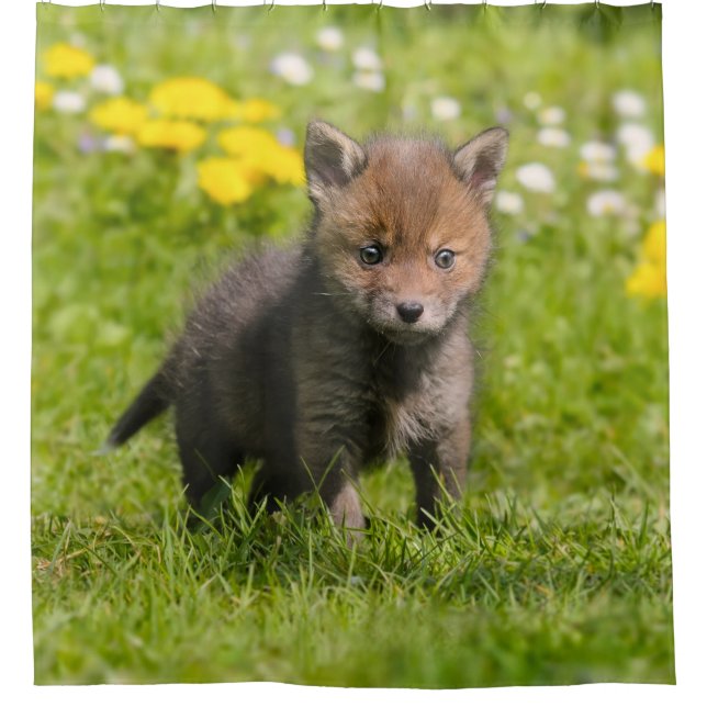 Niedliche Fluffy Red Fox Cub Wild Baby Animal, Tub Duschvorhang (Vorderseite)