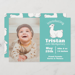 Niedliche Fluffy White Llama Geburtserklärung Einladung