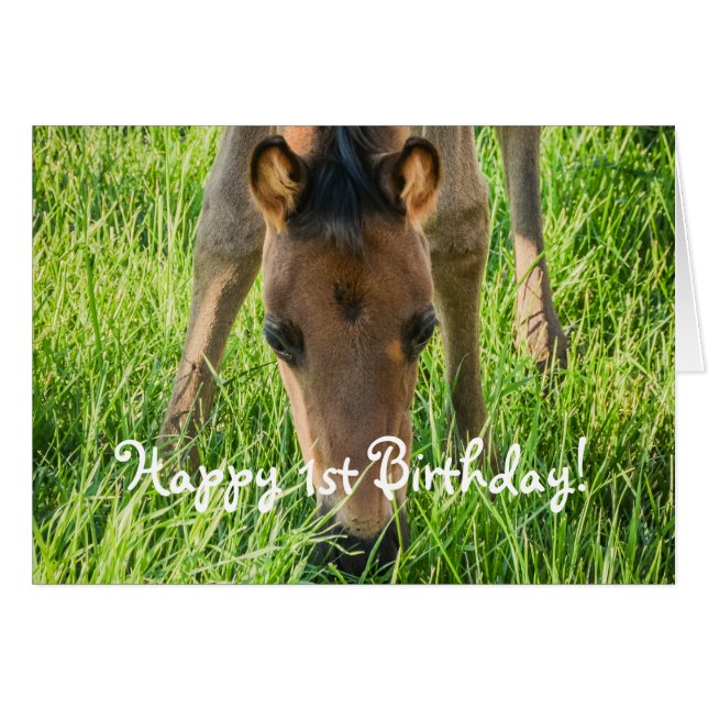 Niedliche Foal Horse Animals Happy Birthday (Vorderseite (Horizontal))