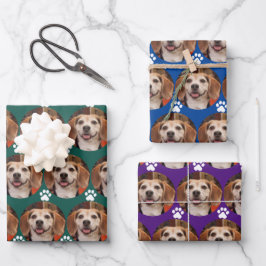 Niedliche Foto- und Paw-Druckfarben Geschenkpapier Set
