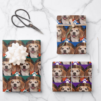 Niedliche Foto- und Paw-Druckfarben Geschenkpapier Set
