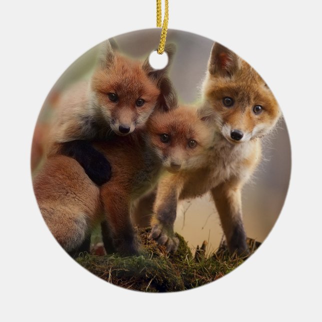 Niedliche Fox-Familie Keramik Ornament (Vorne)