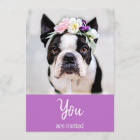 *~* niedliche französische Bulldogge Frenchie