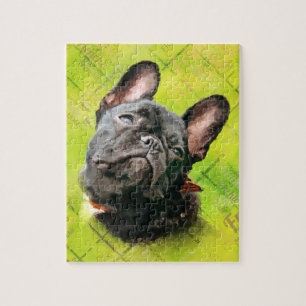 Niedliche französische Bulldogge - Frenchie mit Puzzle