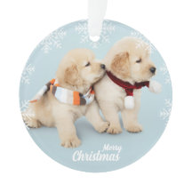 Niedliche frohe Weihnachts-Golden Retriever Welpen