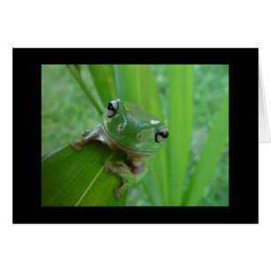 Niedliche Froschkarte